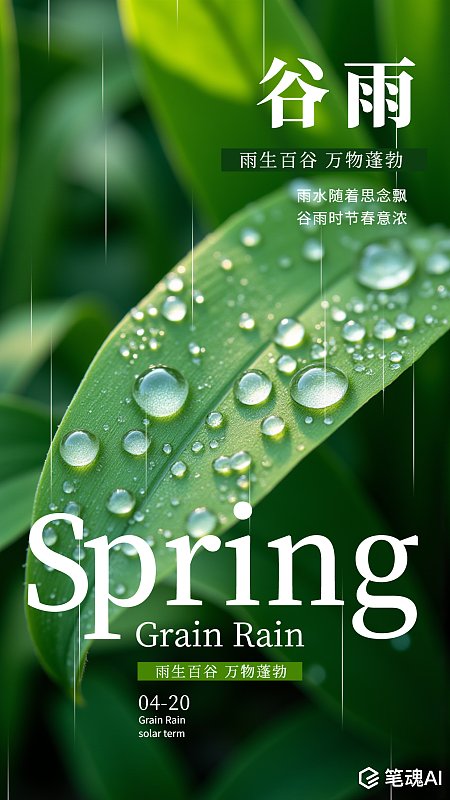 春天春季谷雨节气简约摄影海报 春天 春季 谷雨节气 谷雨 简约摄影 海报 雨滴 雨水