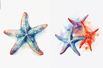 水彩风格海星剪贴画设计