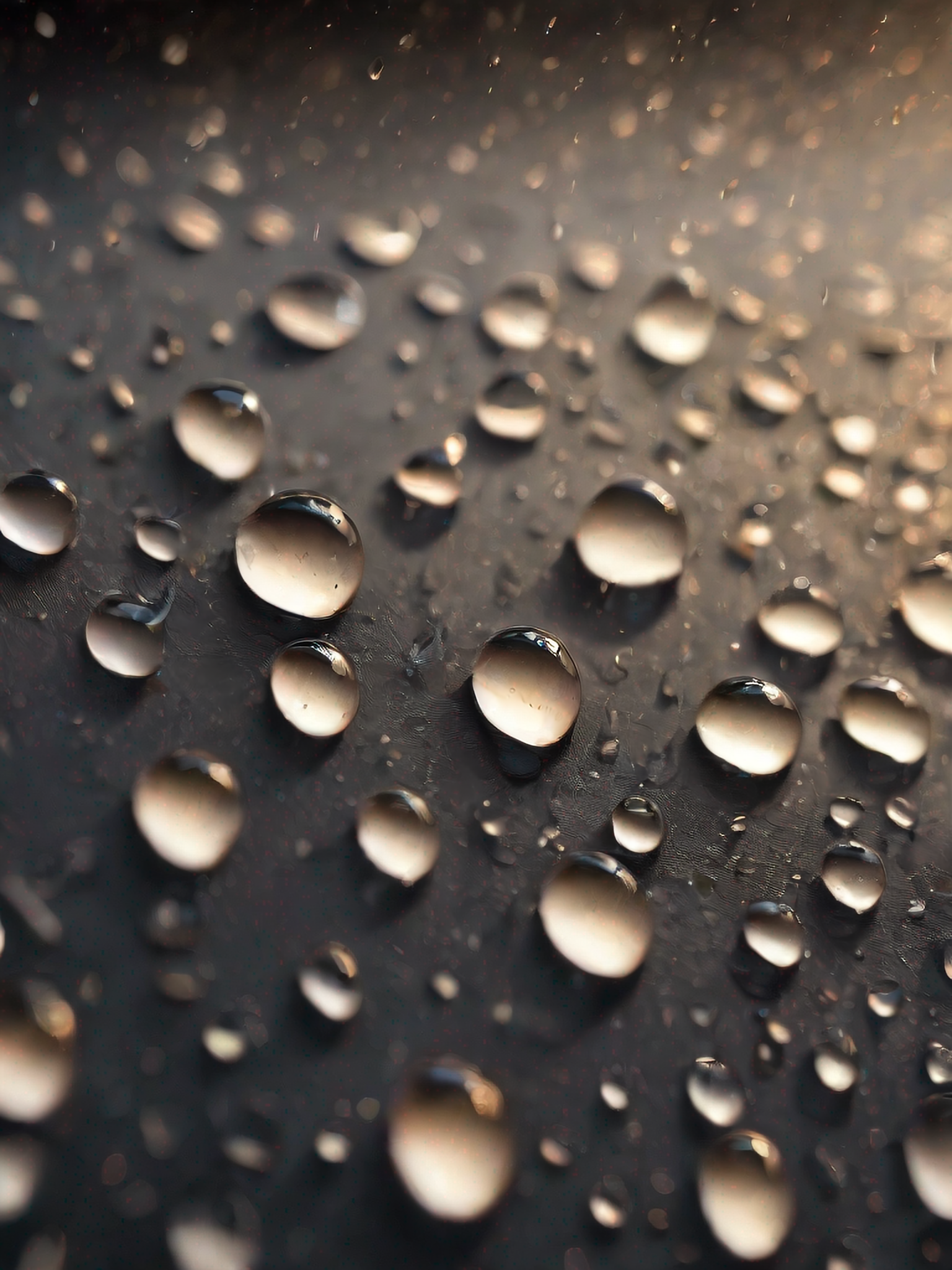 闪耀雨滴特写摄影