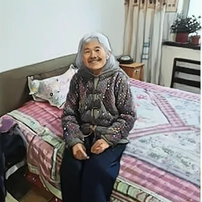 吉卜力风格卡通高质量插画